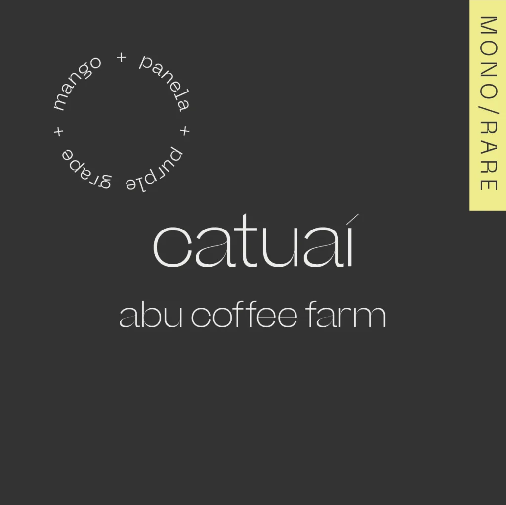 Catuaí