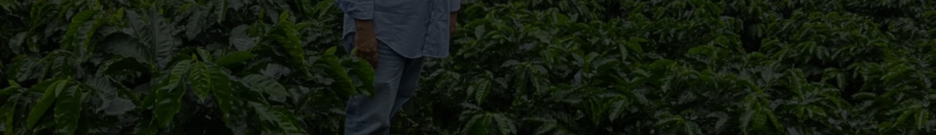 Roaster Background
